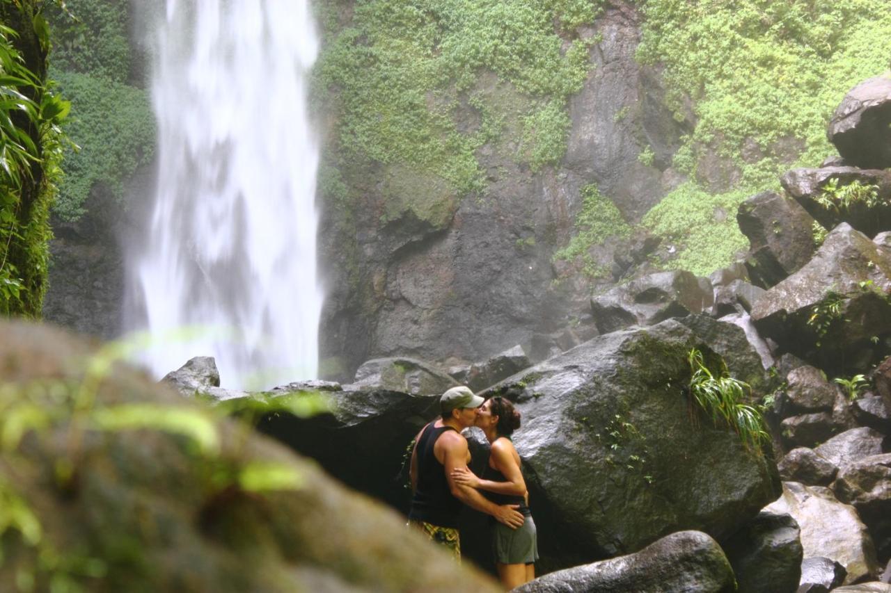 فندق Soufriereفي  Jungle Bay Dominica المظهر الخارجي الصورة